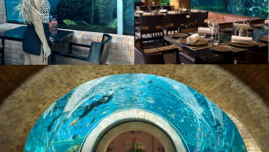 阿普爾瓦凱賓斯基酒店