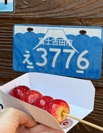鄭王廟&泰服體驗→邦盛魚市場→芭達雅→酒店Check in→航站百貨+BIG C伴手禮購買→夜遊步行街
