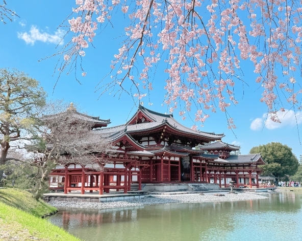桃園機場→關西空港→世界遺產~平等院→宇治神社→日式燒肉放題+贈無酒精飲料喝到飽→入住京都飯店