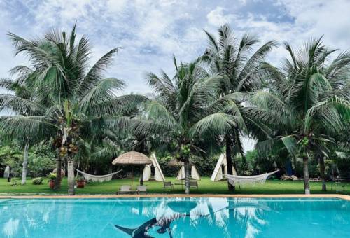 #獨家員旅BBQ趴踢。熱帶泳池別墅、鯨鯊共游、沙丁魚風暴、生態派對五日【華航早去午回】 #獨家員旅BBQ趴踢。熱帶泳池別墅、鯨鯊共游、沙丁魚風暴、生態派對五日【華航早去午回】