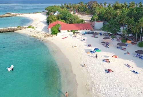 員旅生態假期。海豚遊蹤,護士鯊共遊、鬼幅魟探索、水上活動四合一、六天四夜 員旅生態假期。海豚遊蹤,護士鯊共遊、鬼幅魟探索、水上活動四合一、六天四夜