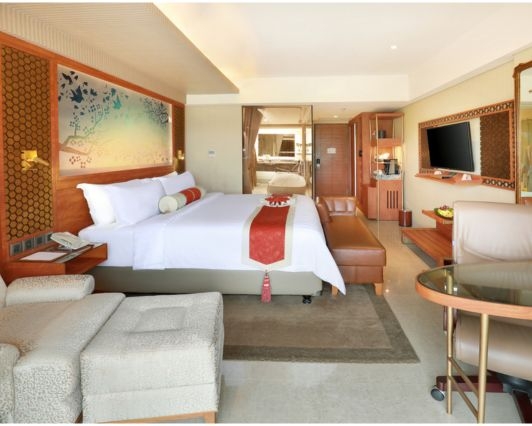 DELUXE PREMIUM ROOM