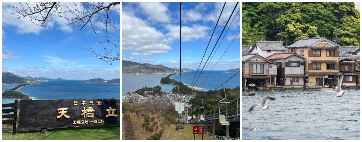 伊根船屋群x伊根灣遊船餵海鷗→日本三大美景~天橋立 (單軌懸吊式纜車~飛龍觀平台拍股見~智恩寺~天橋立沙洲~迴旋橋漫遊)