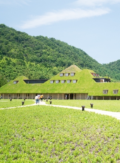 國寶級天守<彥根城>→童話村~La Collina 莊園→湖中殿堂~浮御堂滿月寺→琵琶湖上夢幻鳥居~白鬚神社