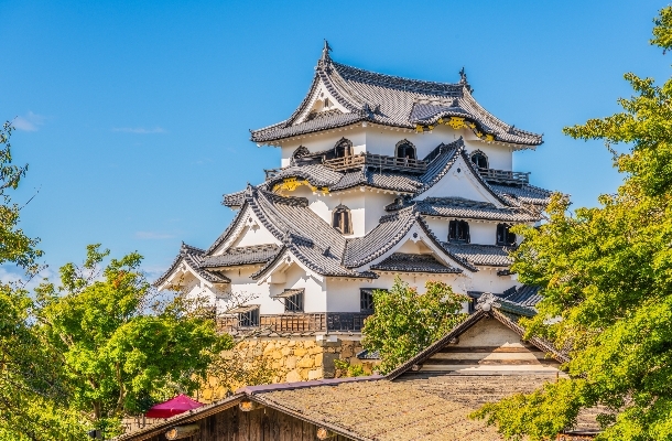 國寶級天守<彥根城>→童話村~La Collina 莊園→湖中殿堂~浮御堂滿月寺→琵琶湖上夢幻鳥居~白鬚神社