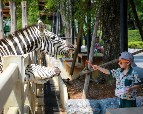 大城野生動物園→大城必吃小吃-船麵(現點現付，想吃幾碗就點幾碗唷)→大城最美古廟-柴瓦塔納蘭寺→喬德拉查達夜市(著名的火山排骨就在這裡!!)