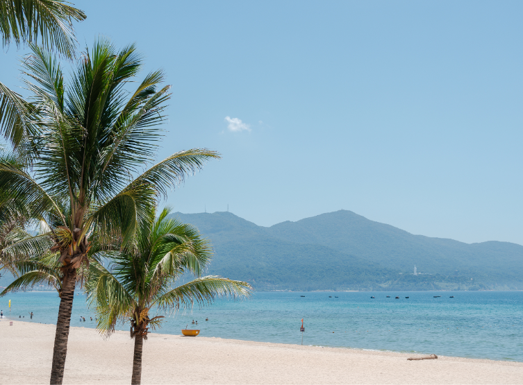 台北→峴港→米其林入選越式餐廳→山茶夜市
